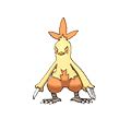 combusken moves|Combusken (Pokémon) .